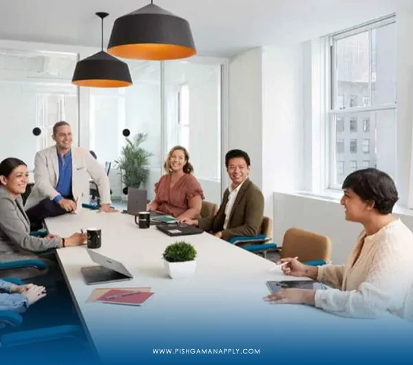 ویزای استارتاپ فنلاند