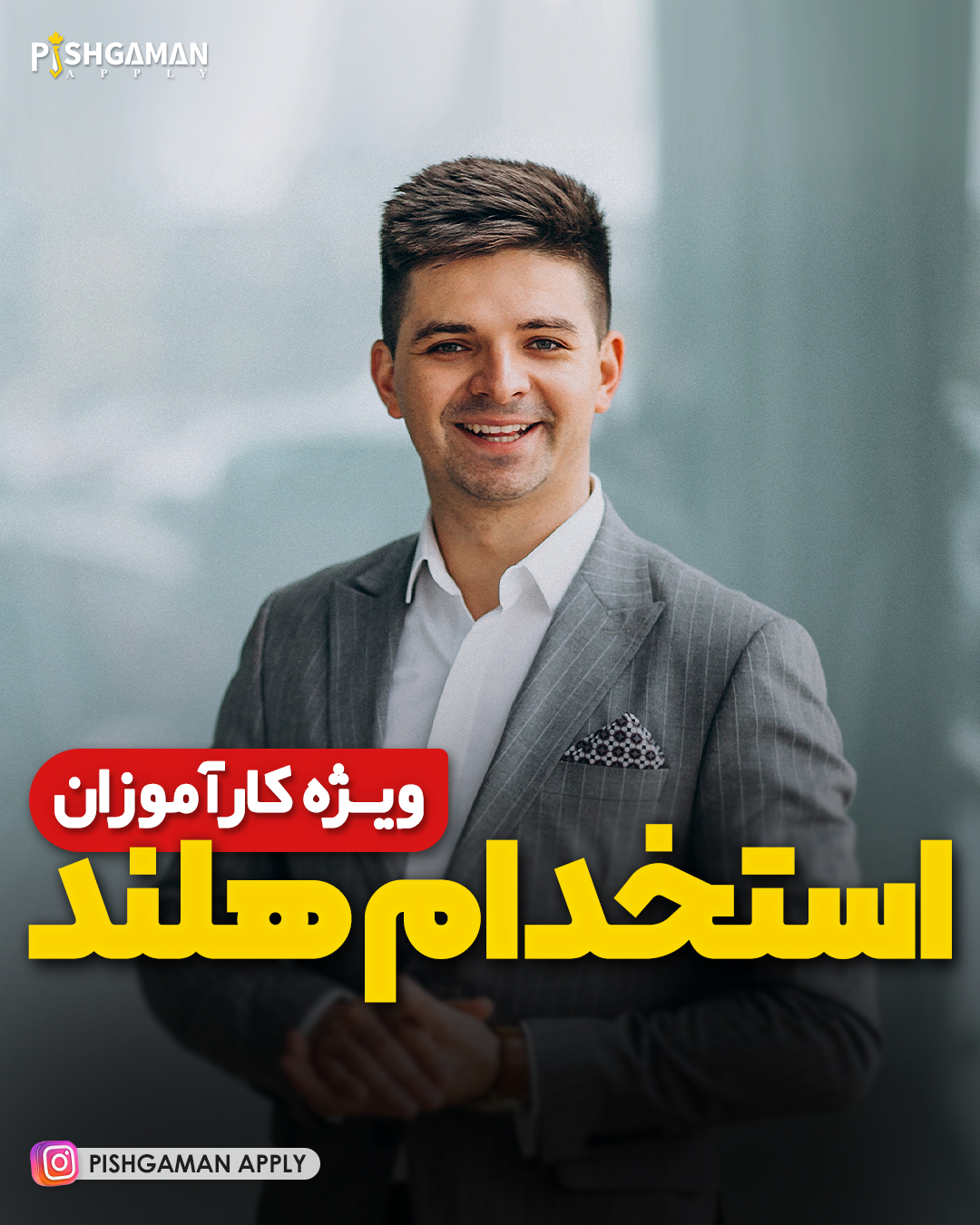 استخدام هلند