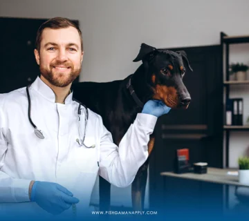 تحصیل دامپزشکی در کانادا